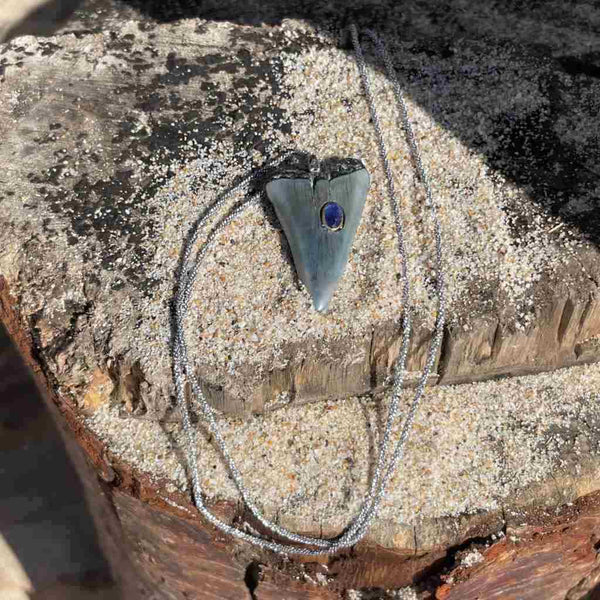 Dent De Requin Fossile 5,74 Carats - Pendentif Argent - Bijou Neuf Sans Emballage - A24-288