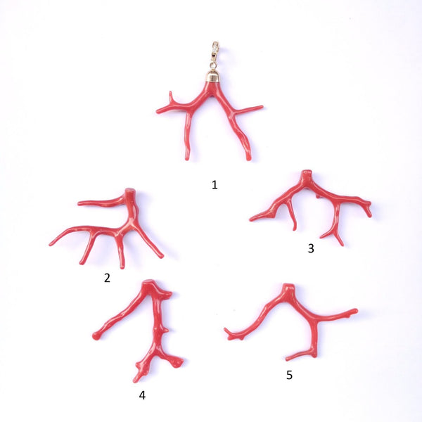 ARISTA Charm branche de Corail véritable, bélière ouvrable