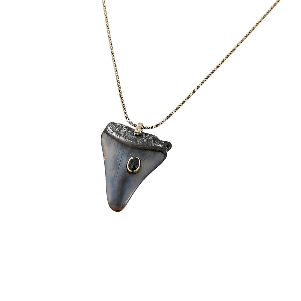 SHARK Collier Dent de Requin fossilisée sertie saphir, chaine Argent ou dorée Or patiné, Bélière Diamant